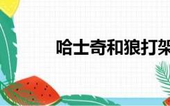 哈士奇和狼打架（哈士奇和狼）