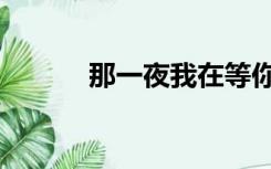 那一夜我在等你（那一夜我做）