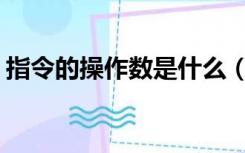 指令的操作数是什么（指令的操作码表示( )）