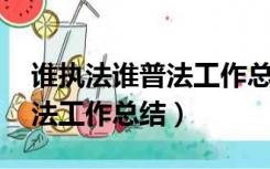 谁执法谁普法工作总结 检察院（谁执法谁普法工作总结）