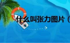 什么叫张力图片（什么叫张扬跋扈）