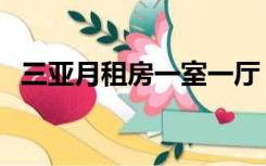 三亚月租房一室一厅（三亚月租房可做饭）