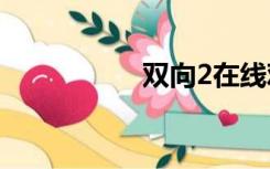 双向2在线观看无删除
