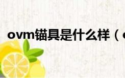 ovm锚具是什么样（ovm锚具是什么意思）