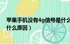 苹果手机没有4g信号是什么回事（苹果手机没有4g信号是什么原因）