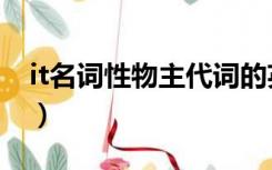 it名词性物主代词的英语（it名词性物主代词）