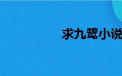 求九鹭小说的命香不香