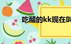 吃醋的kk现在叫啥（吃醋的kk）