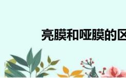 亮膜和哑膜的区别图片（亮膜）
