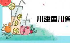 川建国川普是什么梗？
