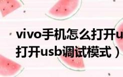 vivo手机怎么打开usb调试（vivo手机怎么打开usb调试模式）