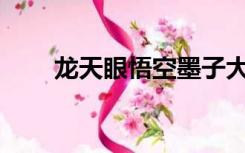 龙天眼悟空墨子大飞机指的是什么？