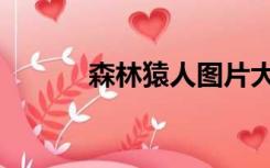 森林猿人图片大全（森林猿人）