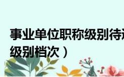 事业单位职称级别待遇一览表（事业单位职称级别档次）