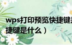 wps打印预览快捷键是什么（wps打印预览快捷键是什么）
