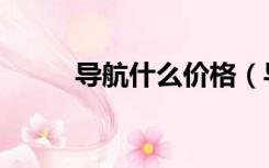导航什么价格（导航什么牌子好）