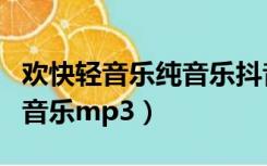 欢快轻音乐纯音乐抖音最火的（欢快轻音乐纯音乐mp3）