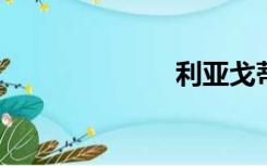 利亚戈蒂磁下载