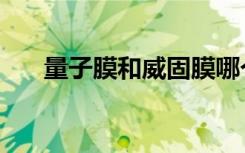 量子膜和威固膜哪个档次高（量子膜）