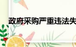 政府采购严重违法失信行为记录查询入口