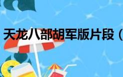 天龙八部胡军版片段（天龙八部胡军版超清）