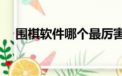 围棋软件哪个最厉害（围棋软件哪个好）