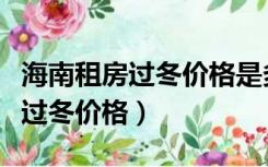 海南租房过冬价格是多少钱一平方（海南租房过冬价格）