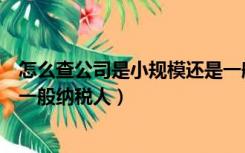 怎么查公司是小规模还是一般人（怎么查公司是小规模还是一般纳税人）