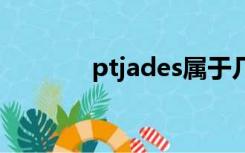 ptjades属于几线品牌（ptj）