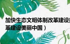 加快生态文明体制改革建设美丽中国（加快生态文明体制改革建设美丽中国）