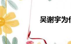 吴谢宇为什么抓不到