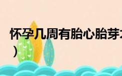 怀孕几周有胎心胎芽才正常（怀孕几周有胎心）