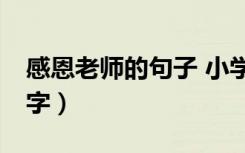 感恩老师的句子 小学生（感恩老师的句子10字）
