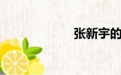 张新宇的玉环集团