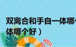 双离合和手自一体哪个好开（双离合和手自一体哪个好）