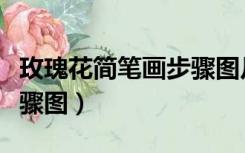 玫瑰花简笔画步骤图片大全（玫瑰花简笔画步骤图）