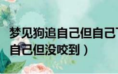梦见狗追自己但自己飞起来没咬到（梦见狗追自己但没咬到）