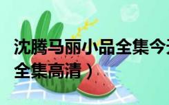 沈腾马丽小品全集今天的幸福（沈腾马丽小品全集高清）