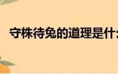 守株待兔的道理是什么（守株待兔的道理）
