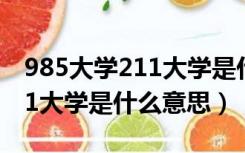 985大学211大学是什么意思啊（985大学211大学是什么意思）