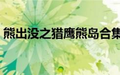 熊出没之猎鹰熊岛合集（熊出没之猎鹰熊岛）