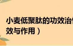 小麦低聚肽的功效治慢性病（小麦低聚肽的功效与作用）
