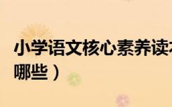 小学语文核心素养读本（小学语文核心素养有哪些）
