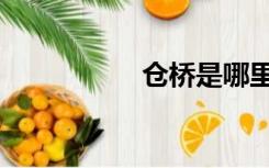仓桥是哪里（仓桥望）
