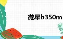 微星b350m pro vd plus
