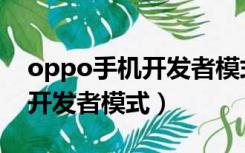 oppo手机开发者模式有什么用（oppo手机开发者模式）
