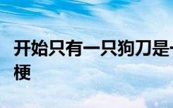 开始只有一只狗刀是一种什么游戏？什么样的梗