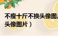 不瘦十斤不换头像图片纯文字（不瘦十斤不换头像图片）