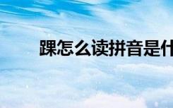 踝怎么读拼音是什么字（踝怎么读）