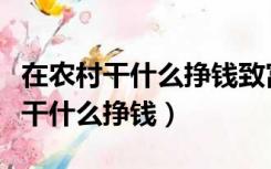 在农村干什么挣钱致富小项目有哪些（在农村干什么挣钱）